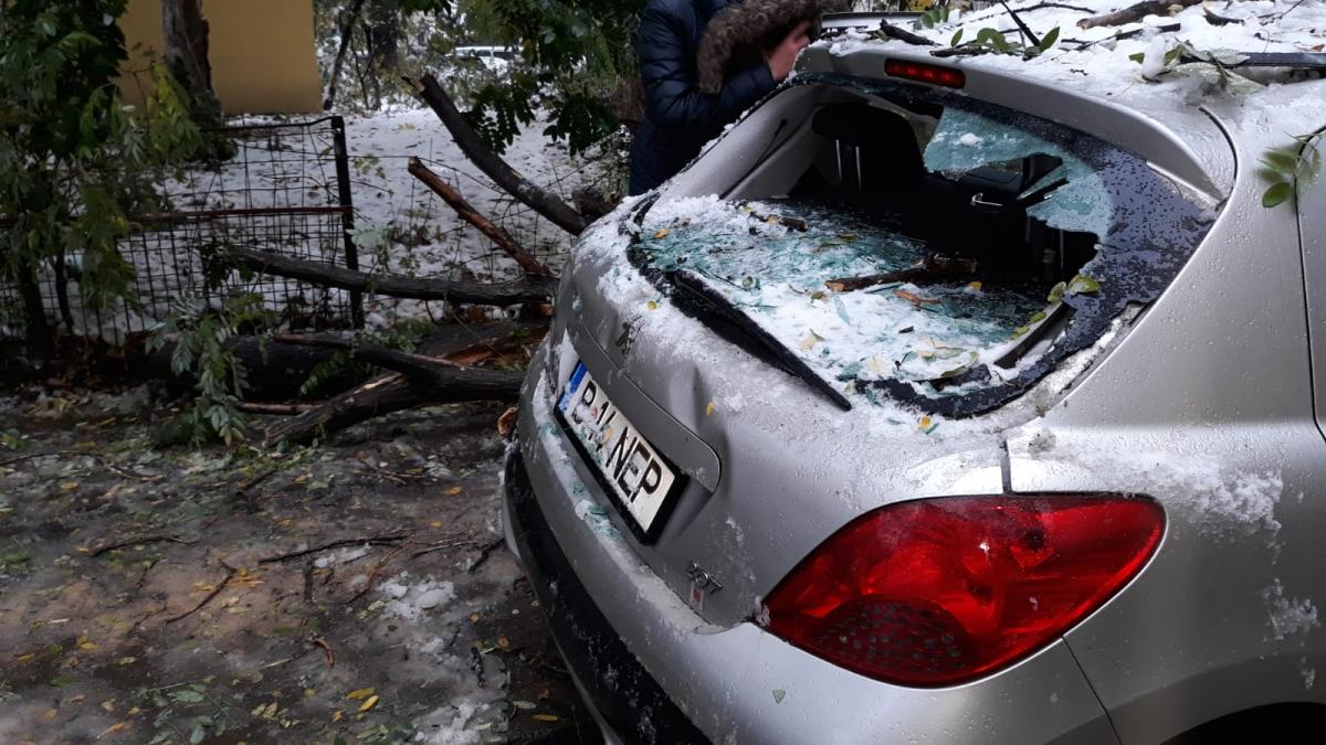 copac cazut peste o masina in zona cartierului tei din capitala din cauza viscolului