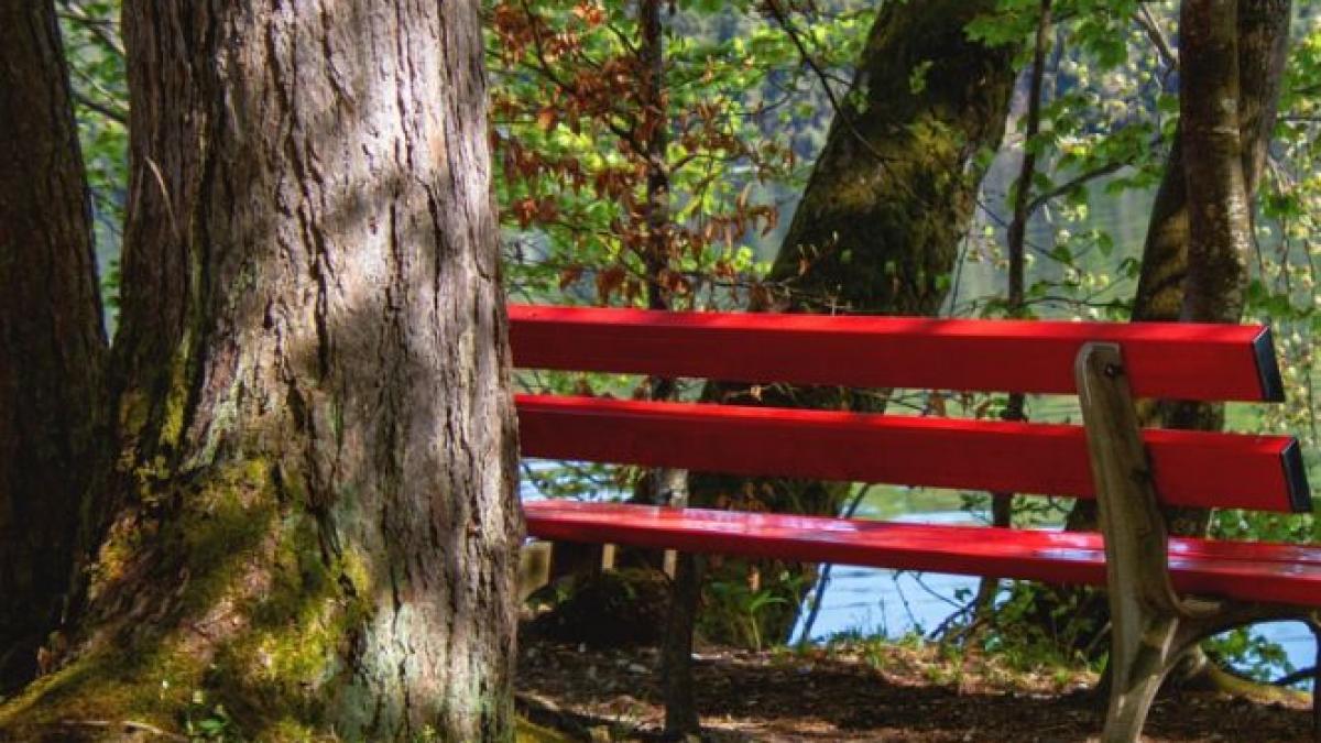 descoperire tulburatoare pe o banca din londra localnicii au intrat in panica am fost ingrozita nu