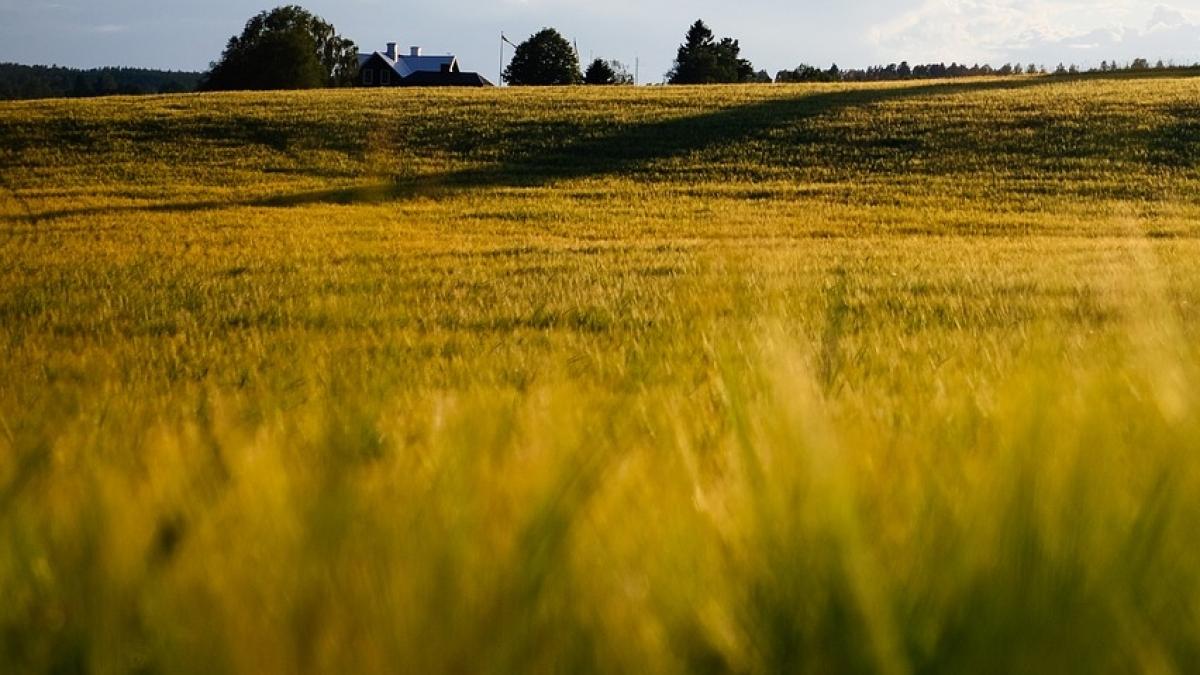 femeia care a disparut de acasa in papuci si pijama a fost gasita moarta pe un camp