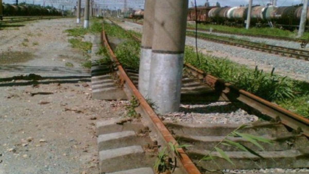 dupa ce o sa afli asta nu o sa mai razi niciodata de caracal de unde vine denumirea celebrului oras