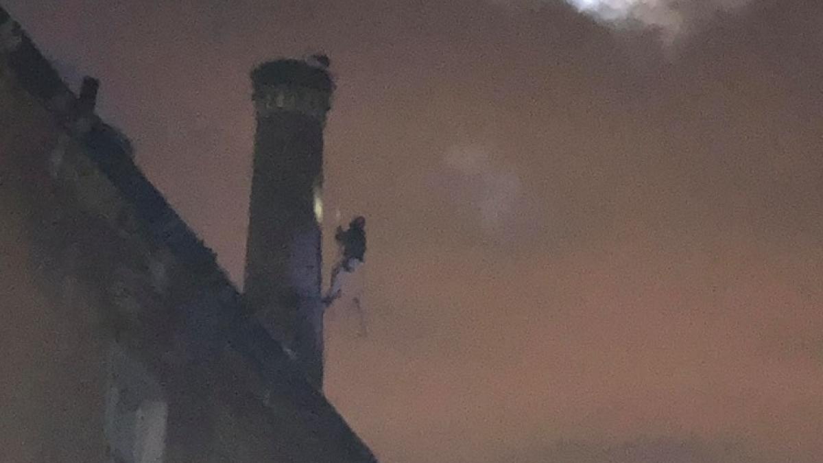 misiune impresionanta de salvare la brasov o barza a refuzat sa si paraseasca cuibul peste iarna