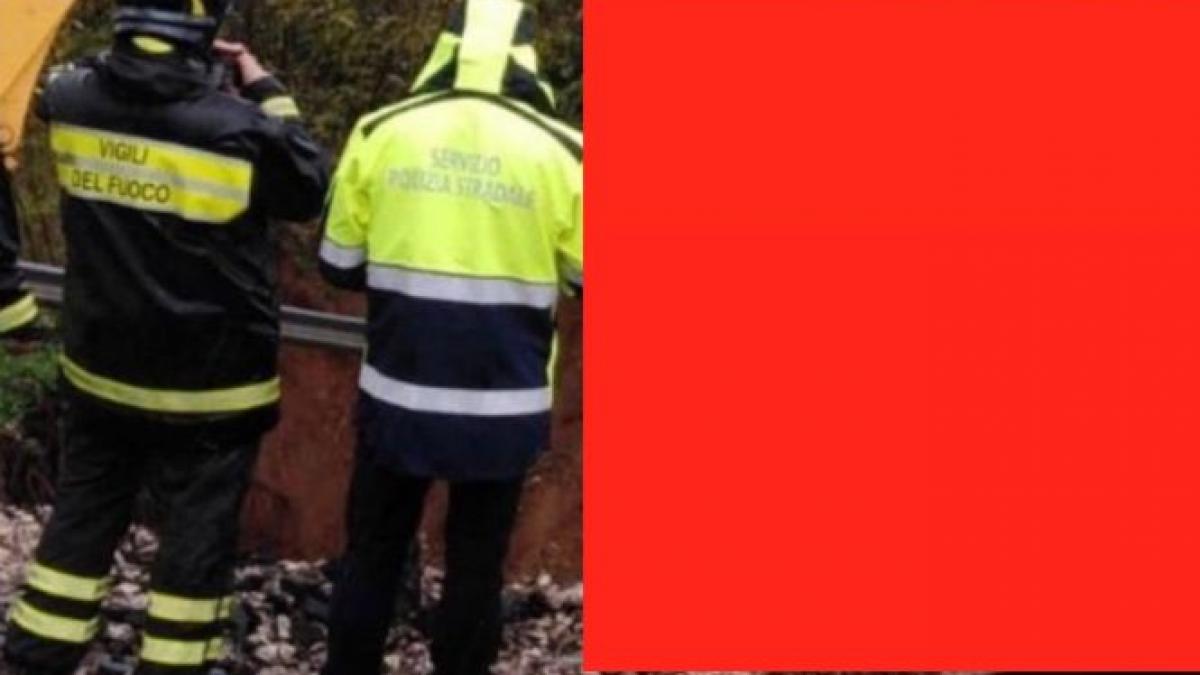 aparitie socanta in mijlocul unei sosele oamenii s au dat jos din masini si au luat o la fuga era