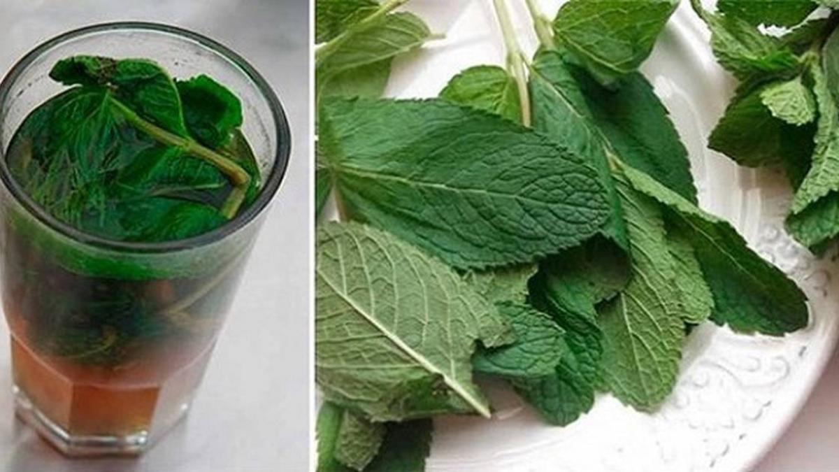 remediul incredibil care iti regenereaza ficatul nu l ai mai incercat pana acum