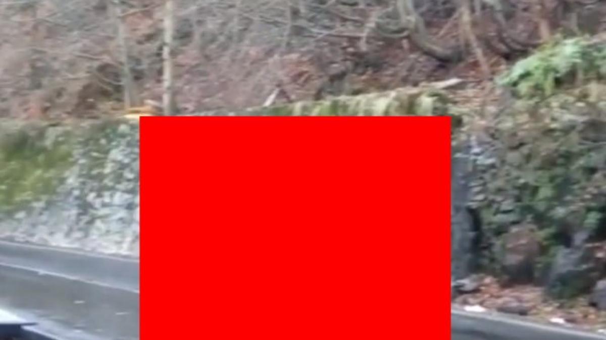 aparitie surprinzatoare pe transfagarasan oamenii s au oprit sa faca poze video