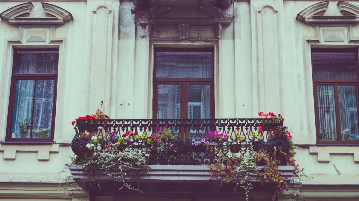 era in fata unei case cand deodata si a aruncat privirea pe balcon cand a vazut asta a scos