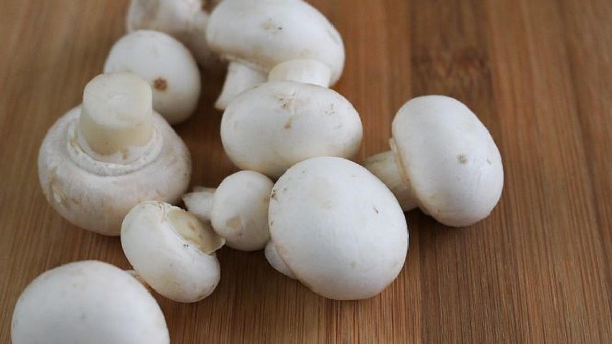 Mulți români cumpără ciuperci Champignon din supermarketuri, dar puțini știu asta despre ele!