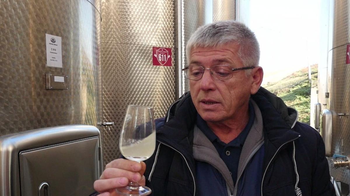 2018 an de referinta pentru productia de vin