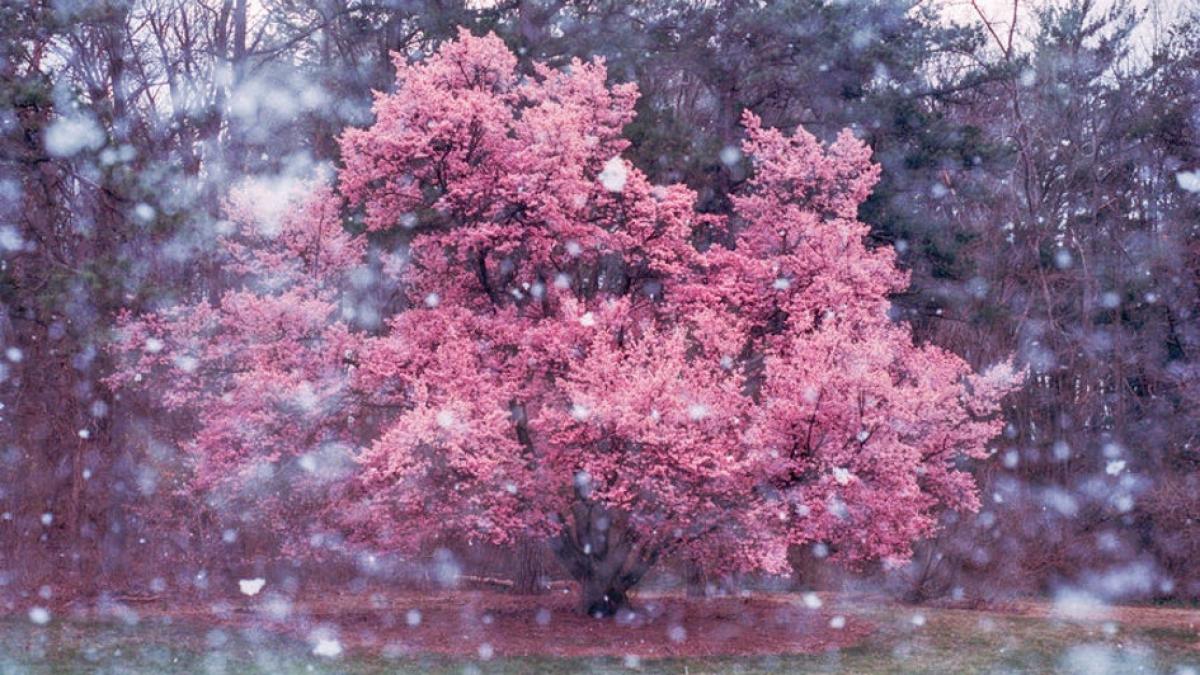 horoscop luna noua in sagetator 2018 ce sfat trebuie sa urmezi in functie de zodia ta gemenii