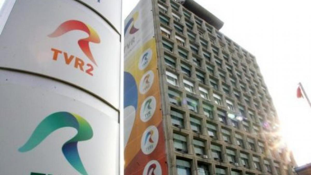 doina gradea directorul srtv in comisia pentru cultura din camera multe lucruri din scrisoarea