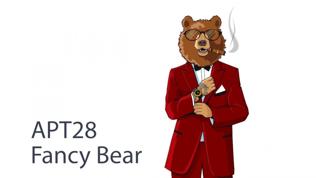 rusia a lansat atacuri asupra unor tari membre nato