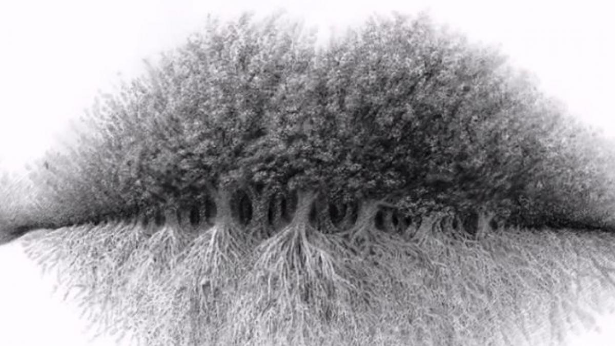 test de personalitate ce vezi in aceasta fotografie dezvaluie ce fel de persoana esti