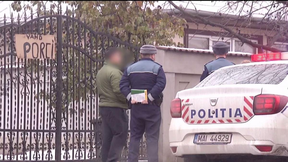 imagini cu camera ascunsa porcii din zone cu pesta vanduti ilegal si scump