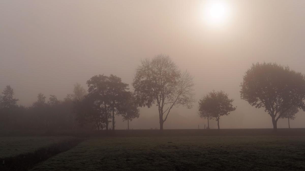Cod galben de ceaţă în 11 judeţe din Moldova, Muntenia și Oltenia