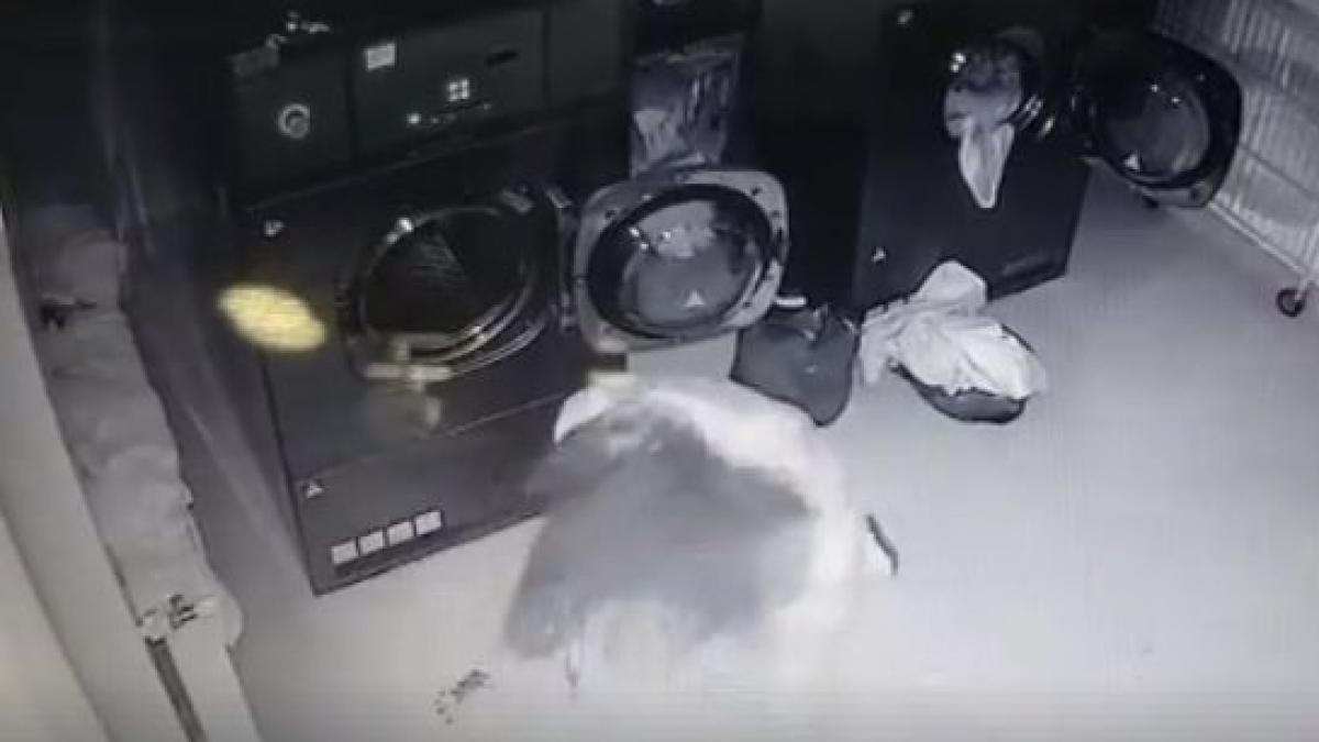 psiholog despre cazul tinerei batute cu pumnii si picioarele e un tratament intolerabil