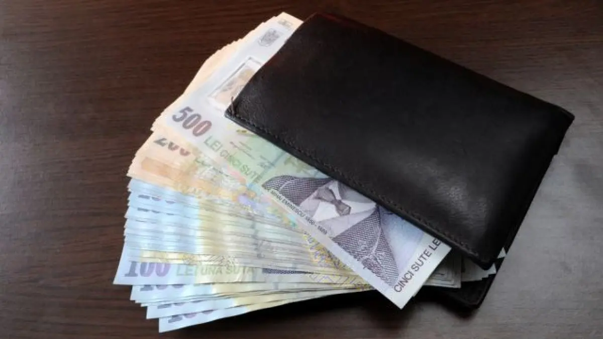 alesii primesc venituri mai mari salariile senatorilor si deputatilor au crescut din nou