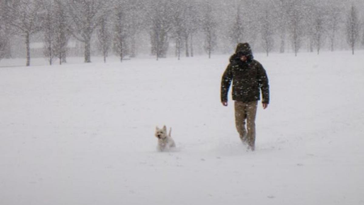 vremea in weekend ninsori trecatoare si vant puternic in aproape toata tara