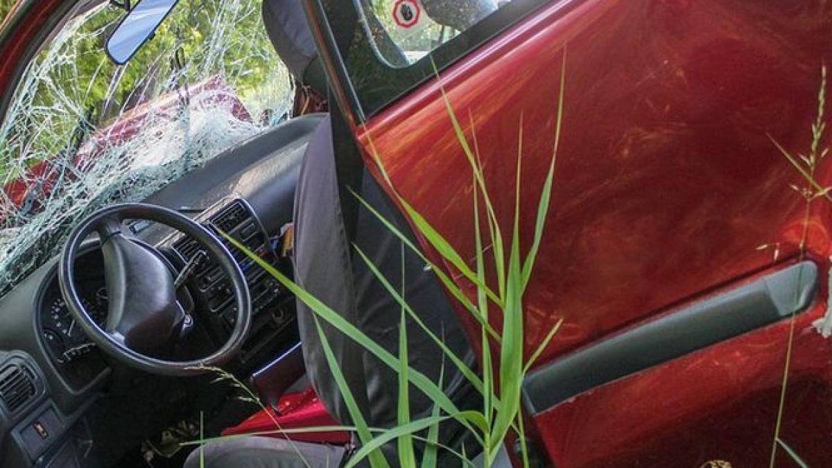 un roman a fost gasit mort intr o masina pe un camp din olanda langa el o femeie era in stare grava