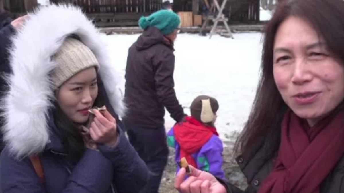 cum a reactionat o turista din china cand a gustat o ureche de porc parlita