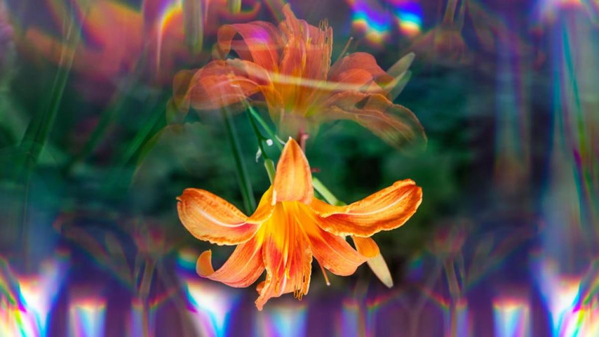 horoscop schimbarea pe care trebuie sa o faci in 2019 in functie de zodia ta balantele trebuie sa