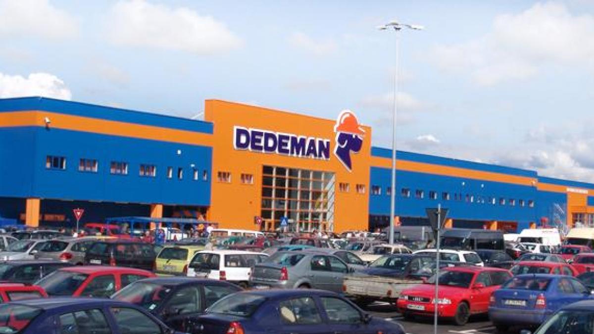 romani care dezvolta romania fratii paval dedeman