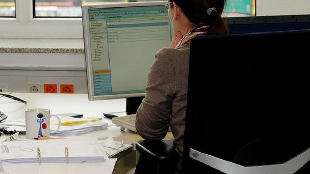 romanii pot primi de la stat 20 000 de lei ghidul de finantare a fost publicat