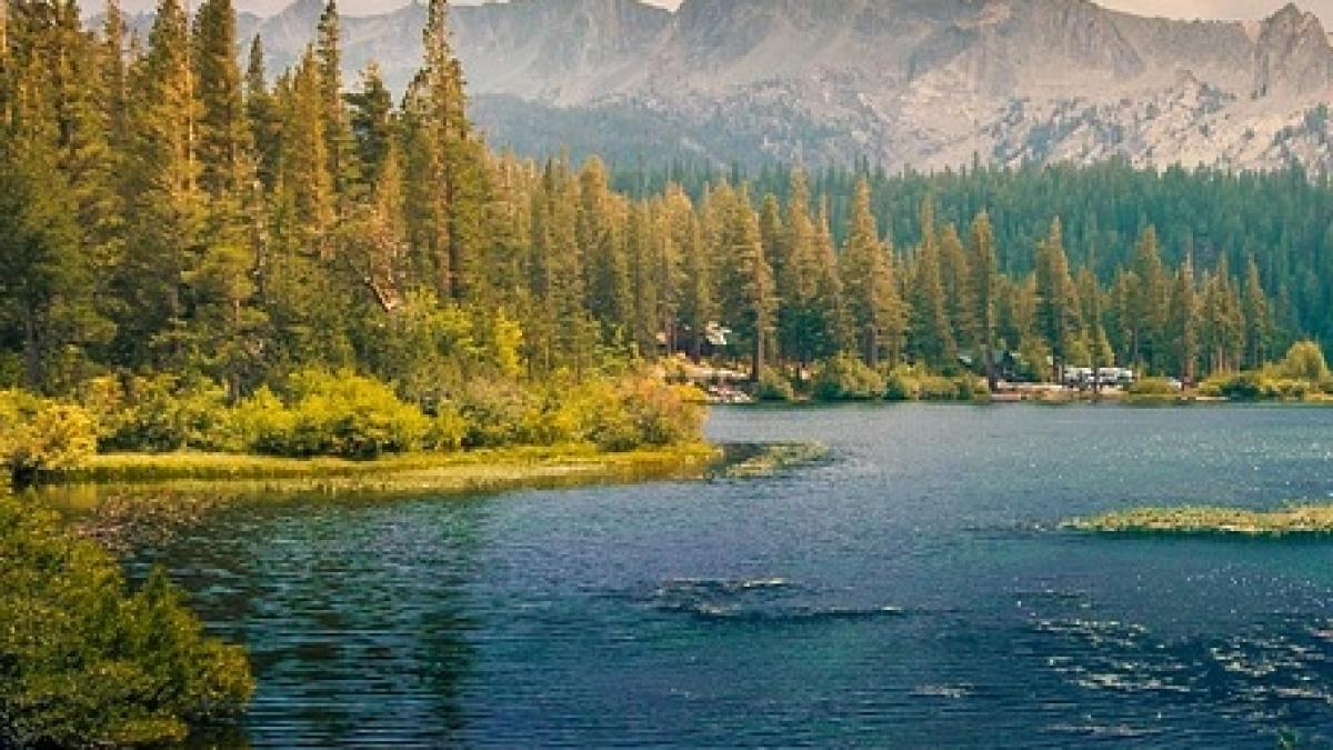 romania detine 60 din rezerva totala din europa a celei mai dorite resurse de pe planeta