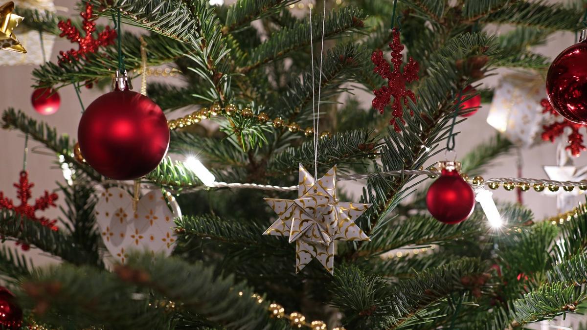 cand se impodobeste de fapt bradul de craciun multa lume face aceasta greseala