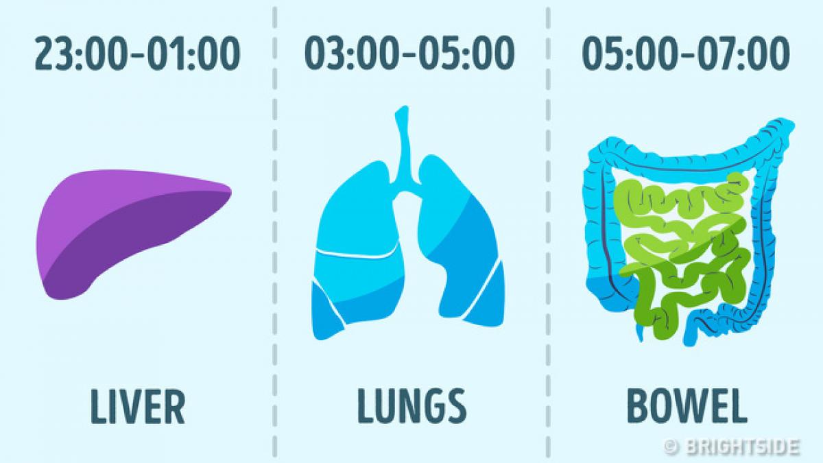 cand trebuie sa mergi la somn ca sa traiesti de doua ori mai mult medicii chinezi au dezvaluit