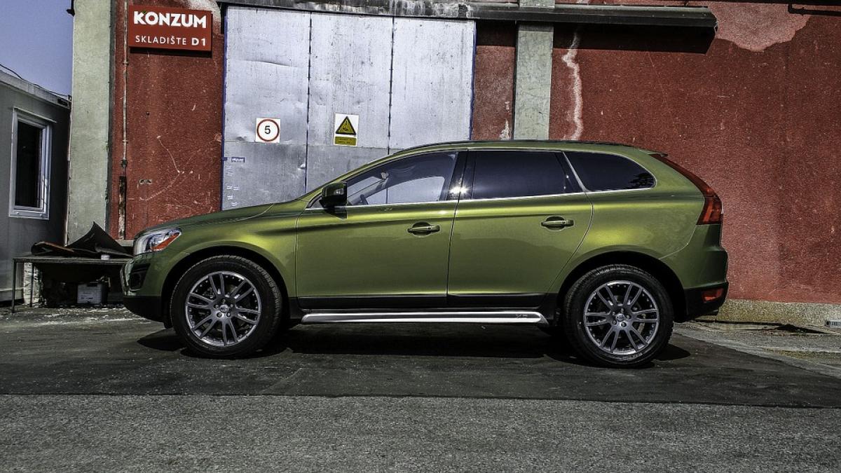 si a uitat cainii in masina timp indelungat cand a realizat ce a facut a fost prea tarziu