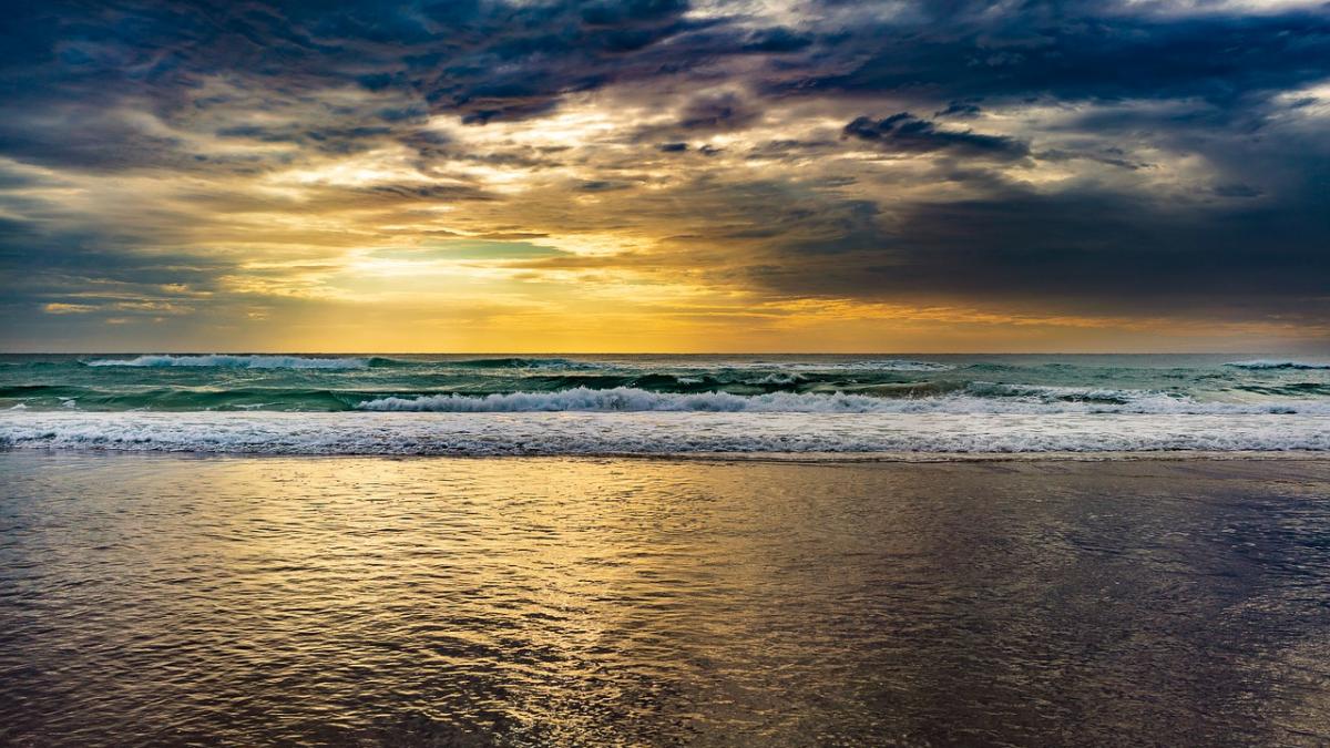 descoperire neasteptata in australia ce au gasit cercetatorii