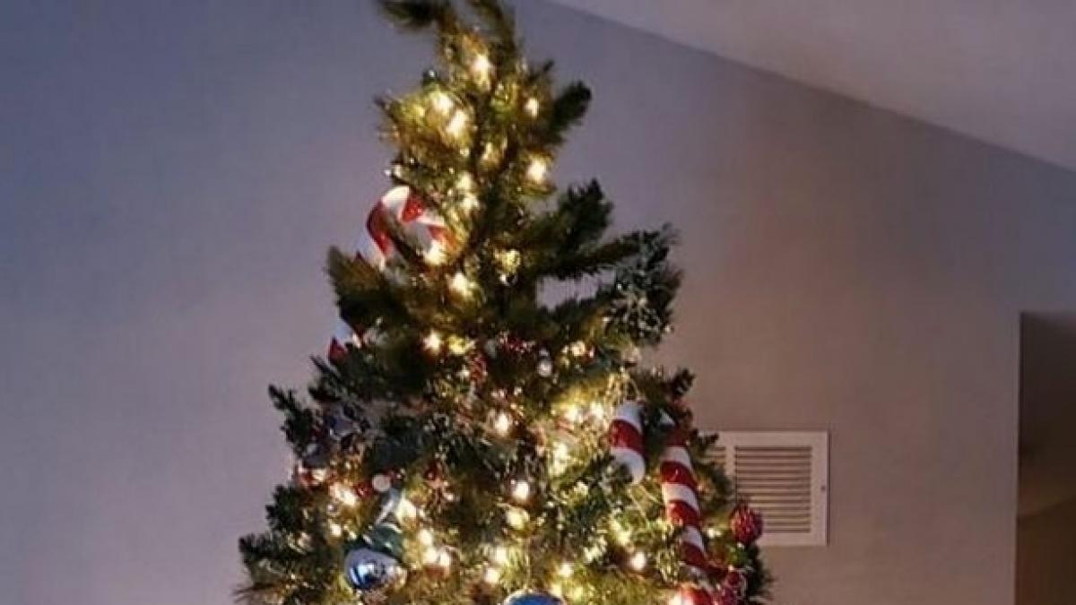 bradul de craciun viral ce a gasit o femeie in el dupa ce l a impodobit