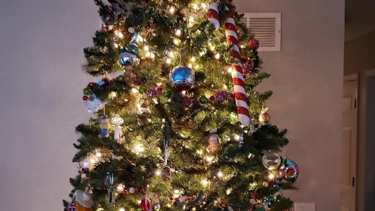 uitati va bine la acest brad vedeti ce este in neregula cu el