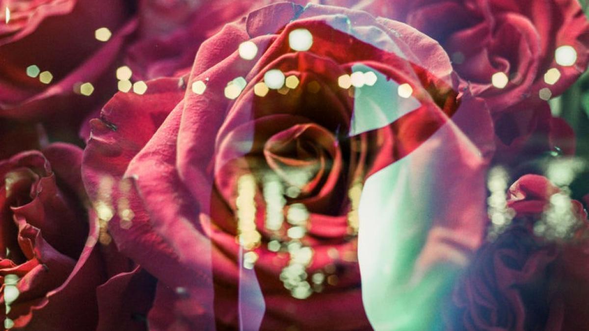 horoscopul iubirii 2019 ce ti au pregatit astrele pe plan amoros fecioarele au parte de o relatie