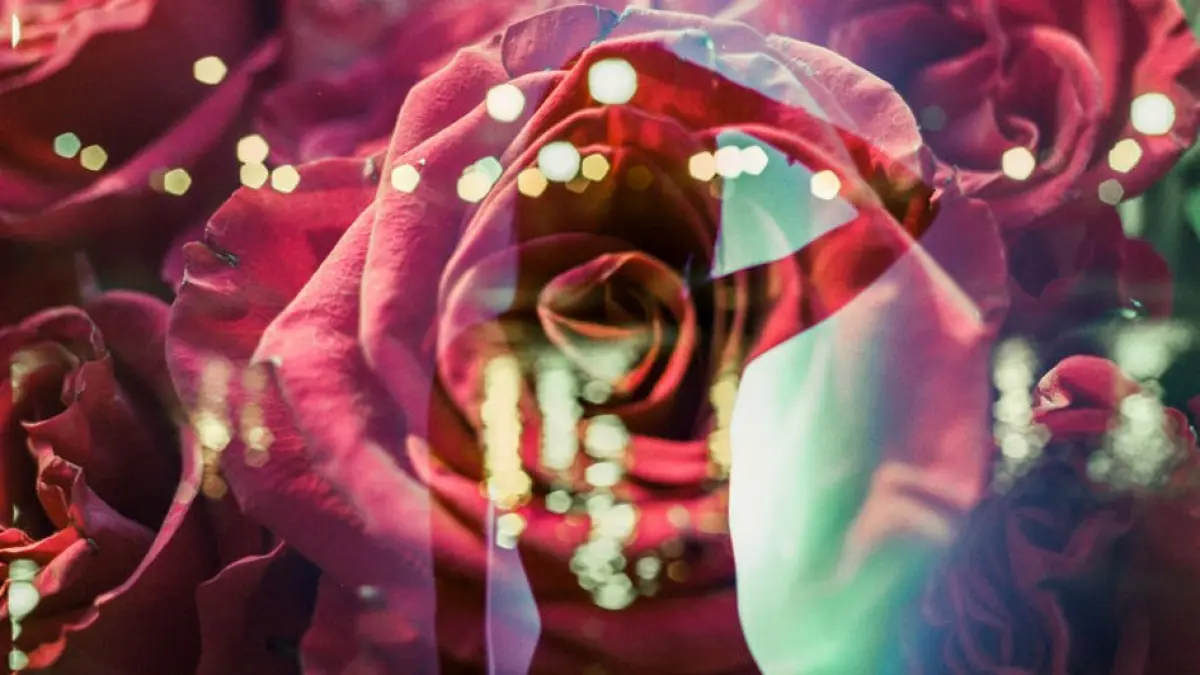 horoscopul iubirii 2019 ce ti au pregatit astrele pe plan amoros fecioarele au parte de o relatie
