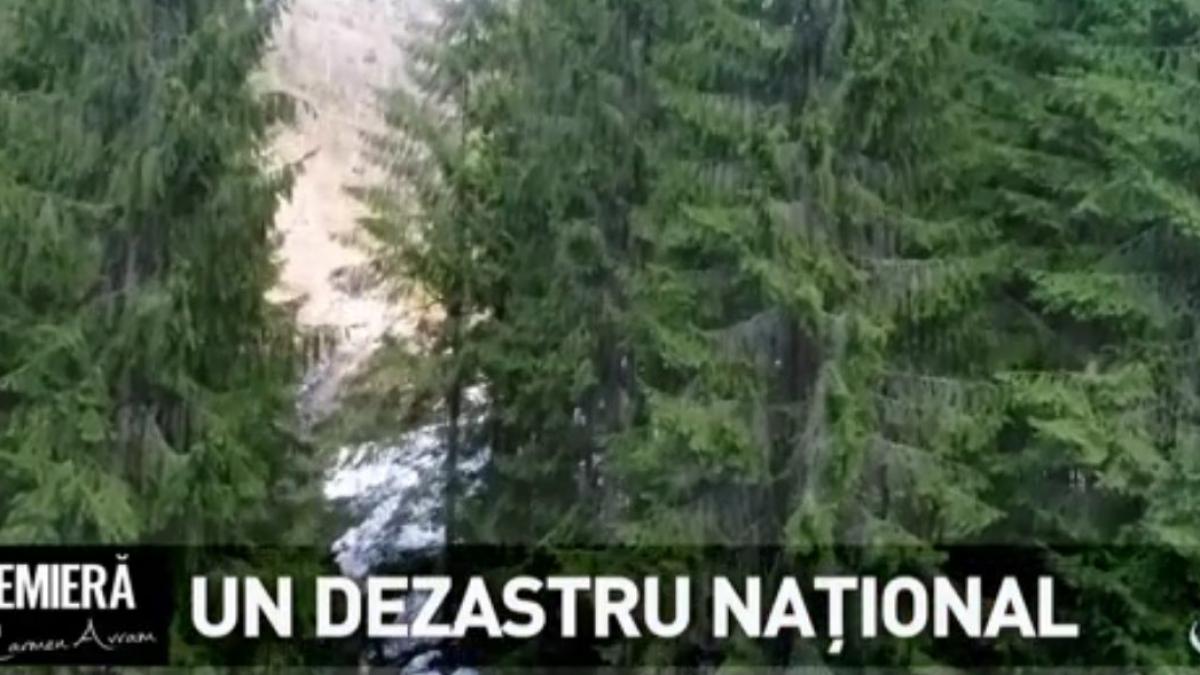 in premiera un dezastru national cum am distrus tezaurul national draft