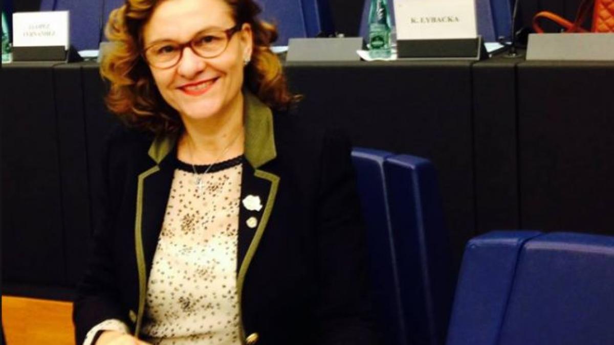 maria grapini romania pregatita sa preia presedintia consiliului ue austria nu s a remarcat cu nimic