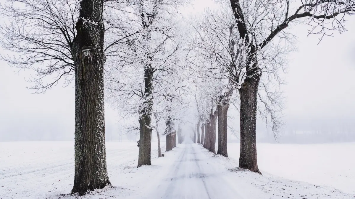 prognoza meteo pana pe 13 ianuarie temperaturile scad in toata tara