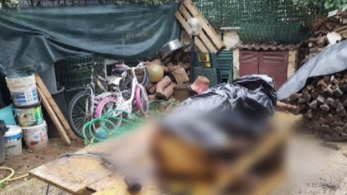 romanii i au ingrozit din nou pe italieni au taiat porcul in stil traditional iar acum risca