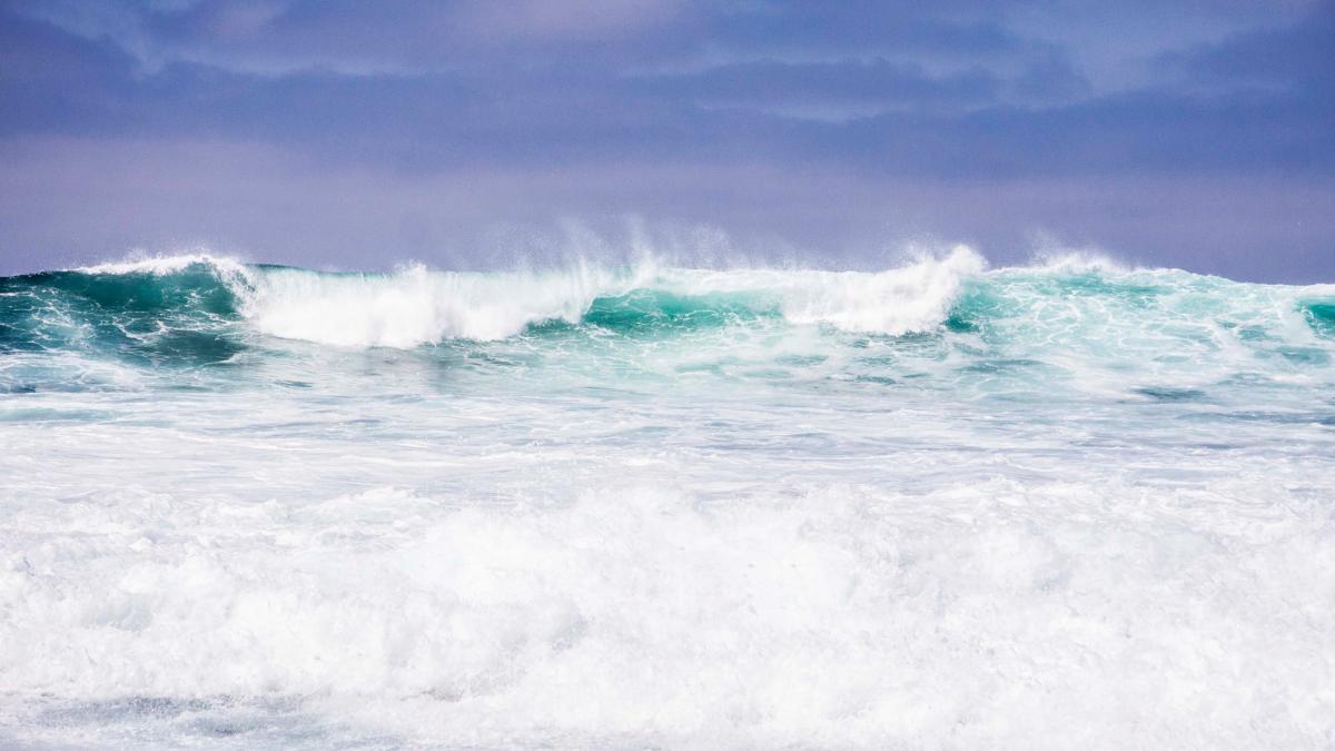 vanturi puternice pe litoral avertismentul meteorologilor