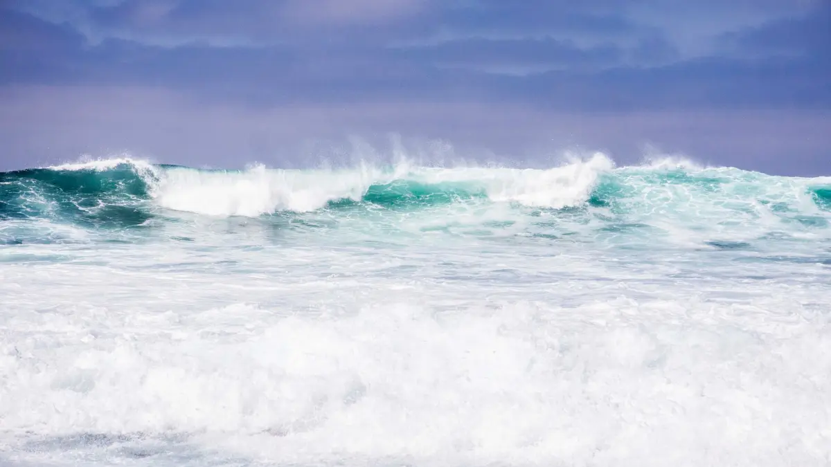 vanturi puternice pe litoral avertismentul meteorologilor