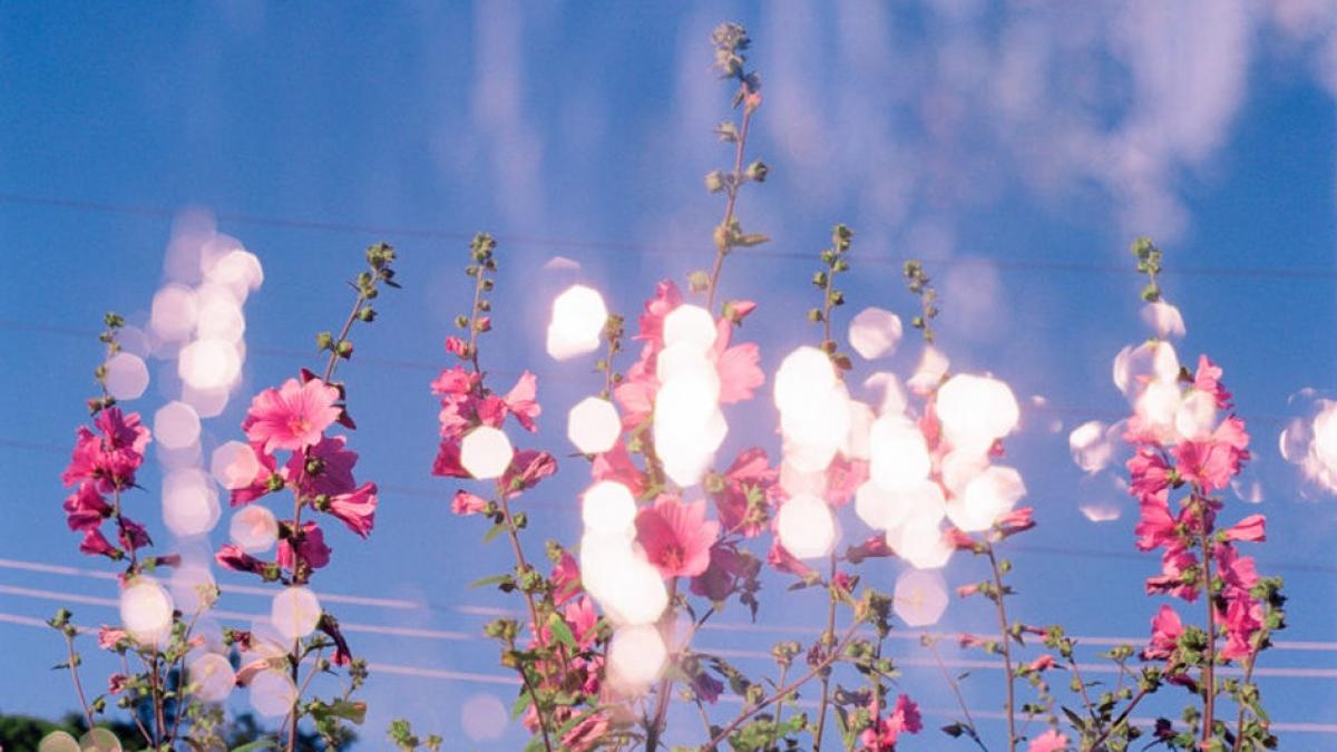 horoscop ce iti aduce eclipsa solara din ianuarie in functie de zodia ta apar schimbari radicale