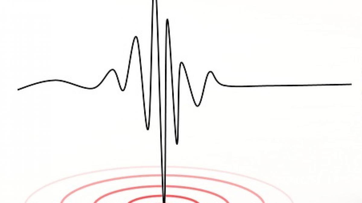 japonia a fost zguduita cutremur cu magnitudinea de 6 4 pe coasta de sud est