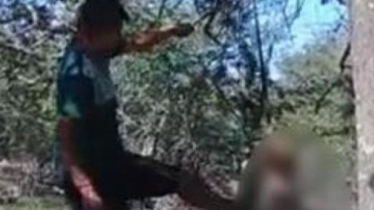 un barbat din argentina si a legat cainele de copac si l a ucis cu bata explicatia lui este