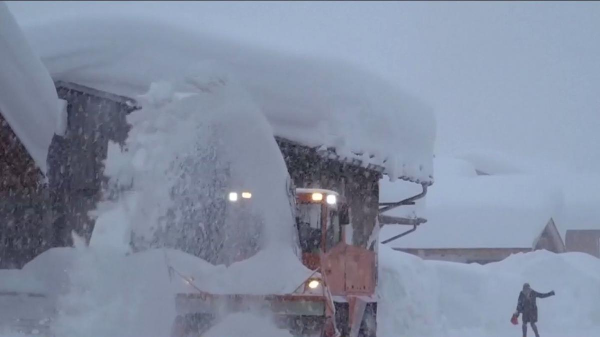 europa sub zapada in germania a fost emis in premiera cod violet de ninsori