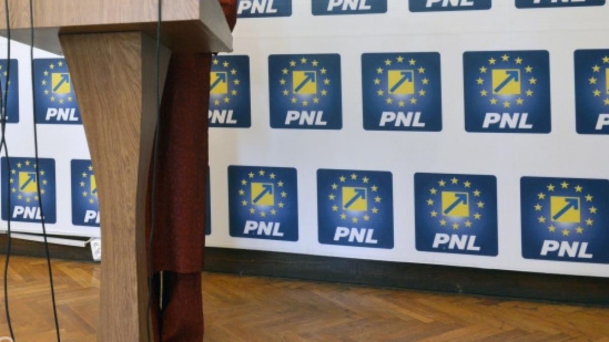 lista pnl pentru alegerile europarlamentare