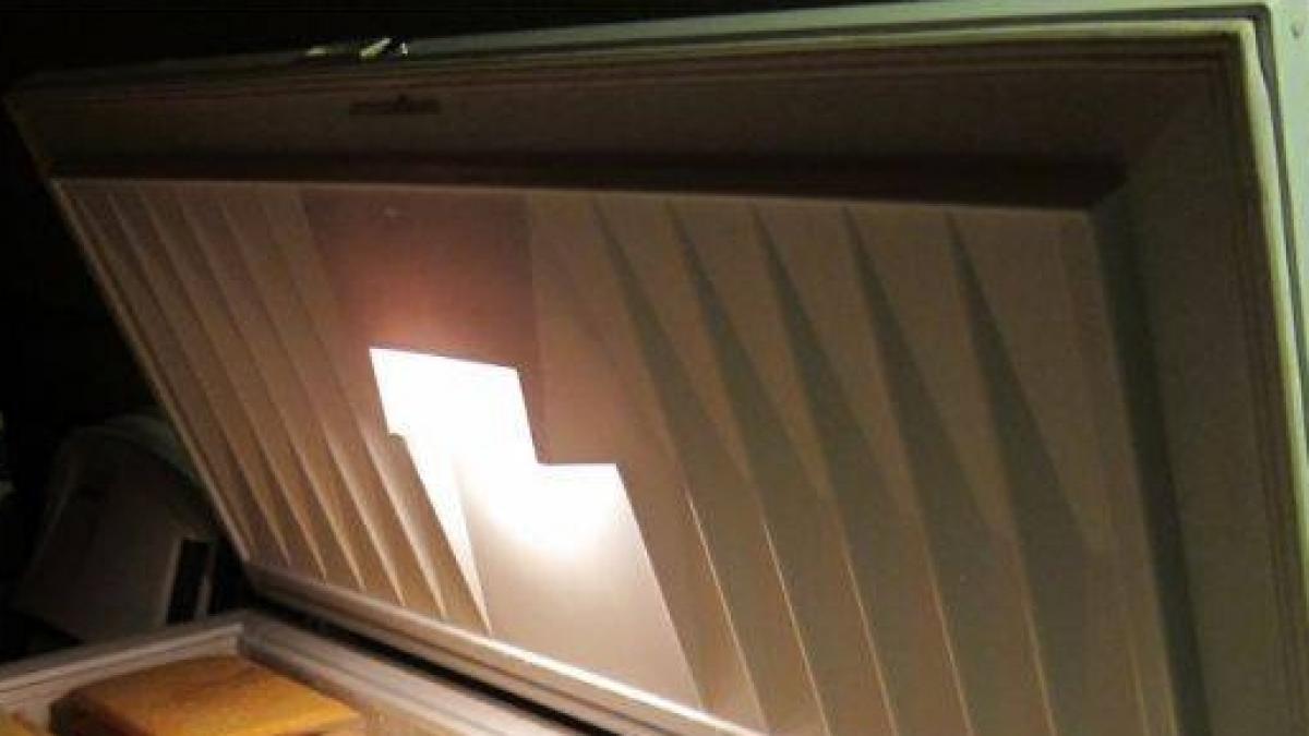 sfarsit cumplit pentru trei copii au murit dupa ce au ramas blocati intr un congelator