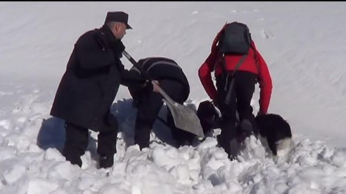 cumea tupeului a sunat la 112 sa i fie deszapezita aleea din fata casei