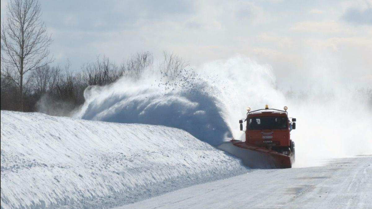 sfarsit tragic pentru o femeie din curtea de arges a murit dupa ce a fost lovita de un utilaj de