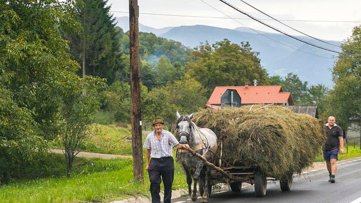 o jurnalista din anglia a vizitat romania anul trecut ce a putut sa scrie despre noi