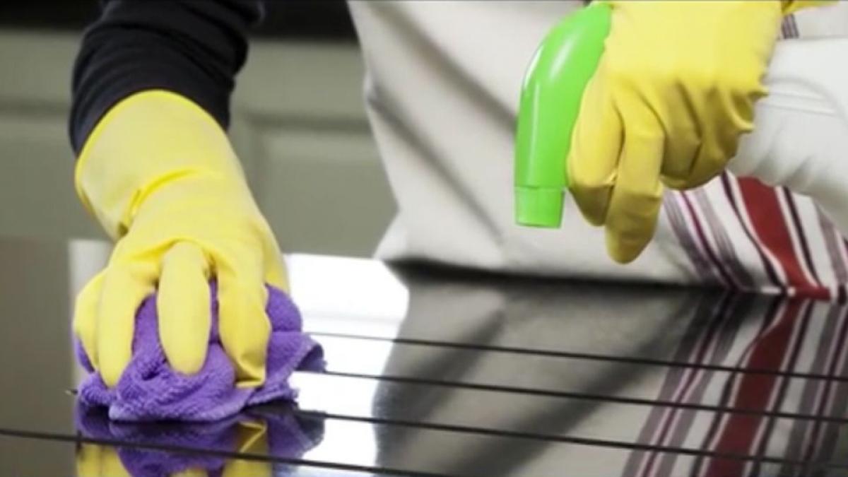 cum sa dezinfectezi locuinta ca sa tii racelile departe